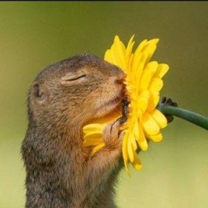 Meet your Posher, Rob